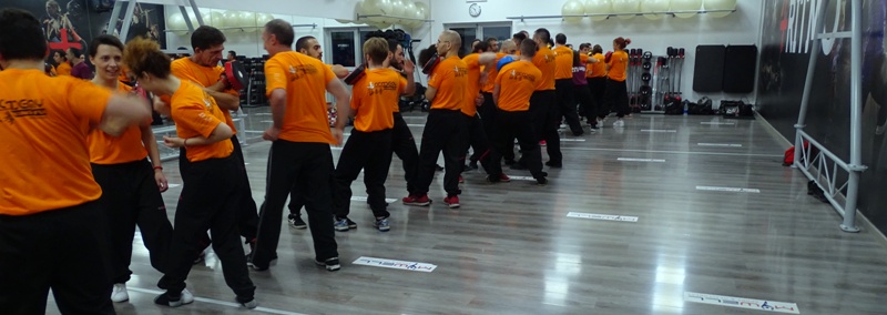 Kung Fu Academy di Sifu Mezzone scuola di wing chun e taijiquan, di wing tsun, difesa personale e arti marziali cinesi a Caserta e in Italia www.kungfuitalia.it (1)